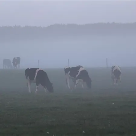 't Bievink - Buitengewoon Overnachten