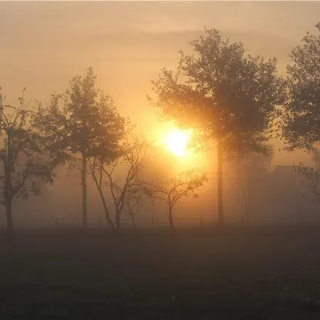 't Bievink - Buitengewoon Overnachten 3* Westendorp