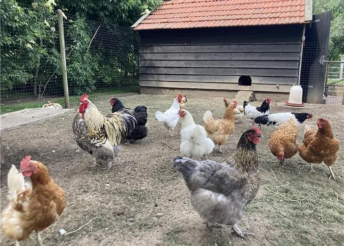 't Bievink - Buitengewoon Overnachten