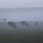 't Bievink - Buitengewoon Overnachten