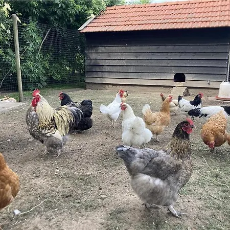 't Bievink - Buitengewoon Overnachten