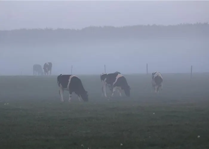 't Bievink - Buitengewoon Overnachten